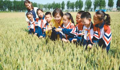 食物浪费惊人 中国食物浪费量每年1700万至1800万吨(图1)