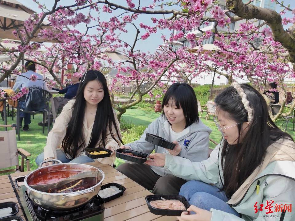 成都龙泉山春日“慢食光”：桃花下烫火锅民宿订单涨四成(图1)