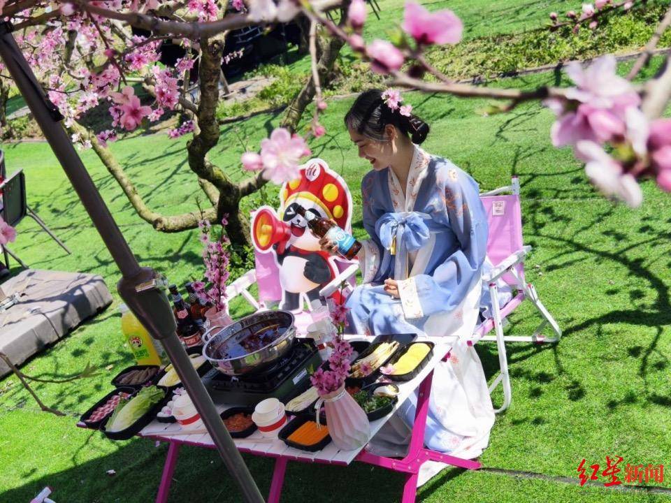 成都龙泉山春日“慢食光”：桃花下烫火锅民宿订单涨四成(图2)