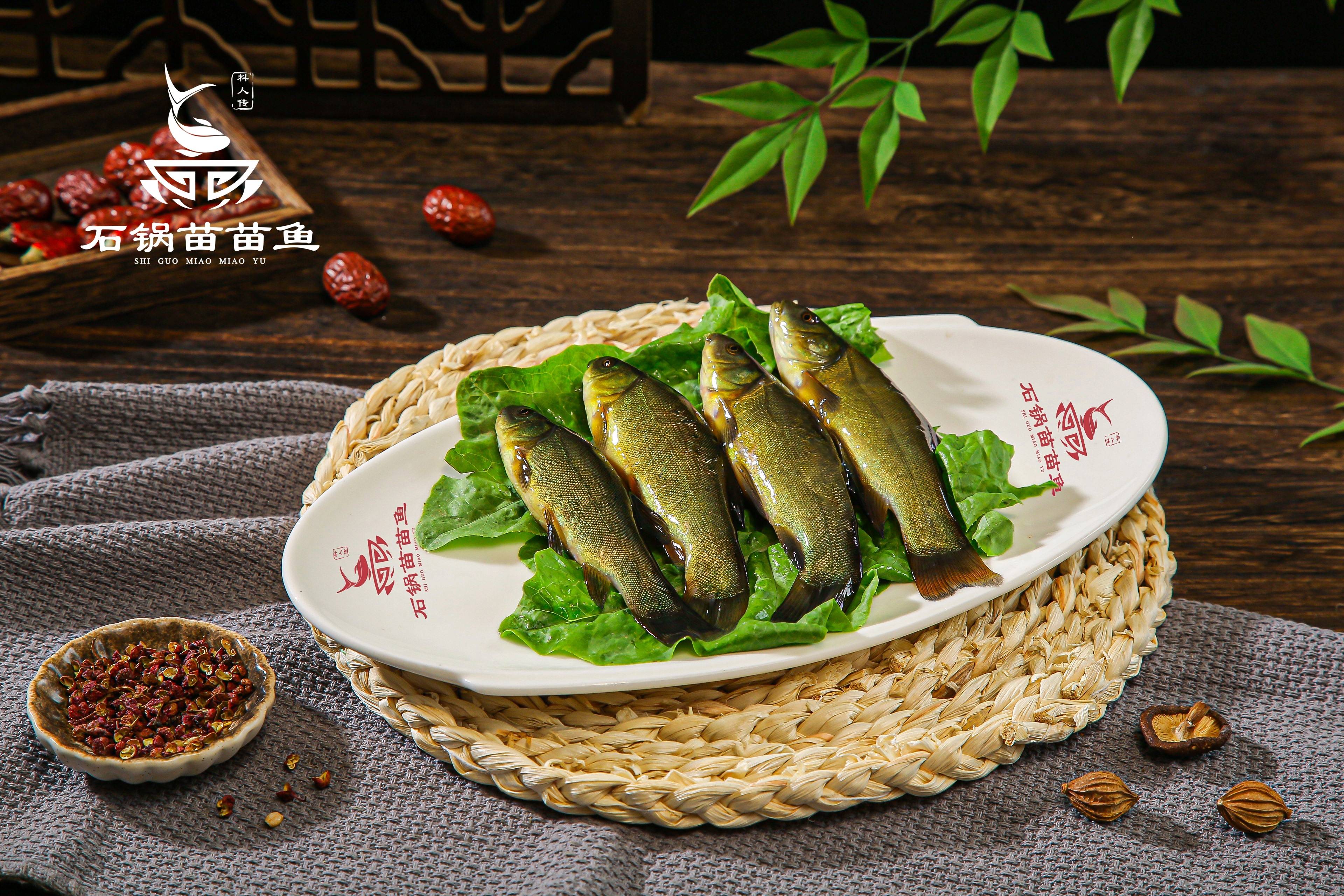 餐饮创业平均存活三个月为什么餐饮行业不好干？(图1)