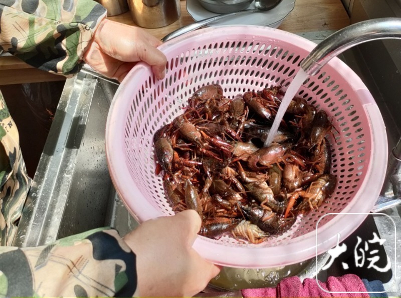 唯有美食不可辜负男子坚持烹饪龙虾30年(图1)